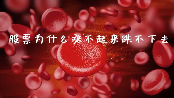 股票为什么涨不起来跌不下去_https://www.apanben.com_国际财经_第1张