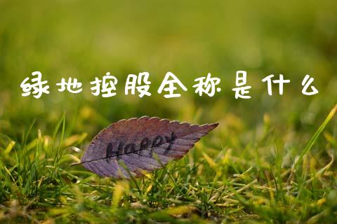 绿地控股全称是什么_https://www.apanben.com_股市分析_第1张