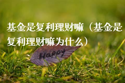 基金是复利理财嘛（基金是复利理财嘛为什么）_https://www.apanben.com_国际财经_第1张