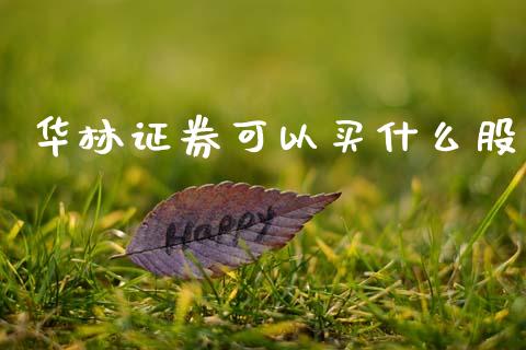 华林证券可以买什么股_https://www.apanben.com_股票怎么玩_第1张