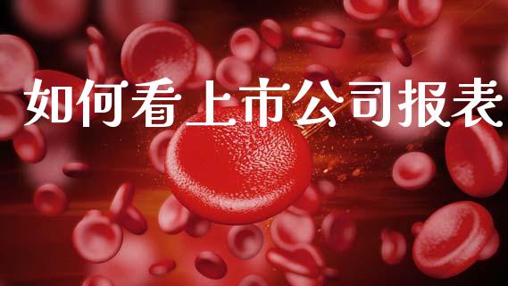 如何看上市公司报表_https://www.apanben.com_财经资讯_第1张