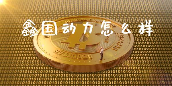 鑫国动力怎么样_https://www.apanben.com_财经资讯_第1张