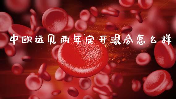 中欧远见两年定开混合怎么样_https://www.apanben.com_国际财经_第1张