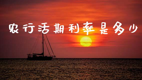 农行活期利率是多少_https://www.apanben.com_股市指导_第1张