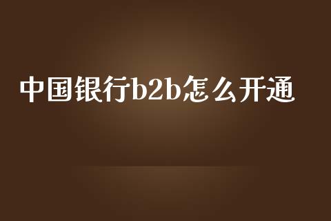 中国银行b2b怎么开通_https://www.apanben.com_国际财经_第1张