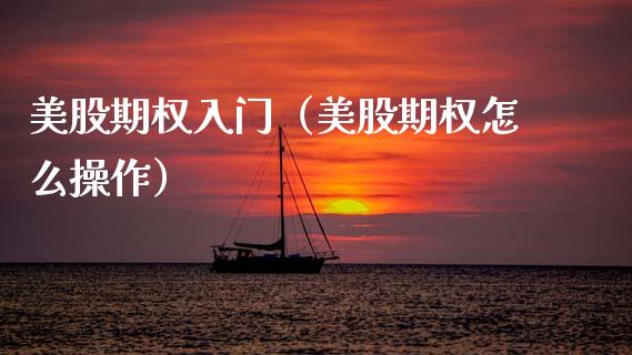 美股期权入门（美股期权怎么操作）_https://www.apanben.com_期货学院_第1张