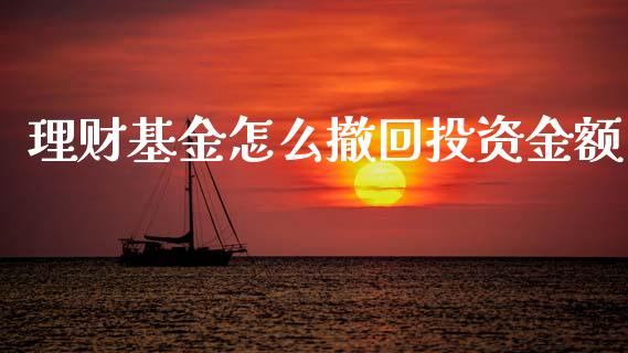 理财基金怎么撤回投资金额_https://www.apanben.com_国际财经_第1张
