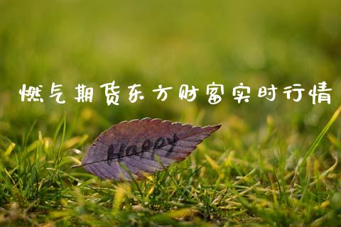 燃气期货东方财富实时行情_https://www.apanben.com_期货学院_第1张