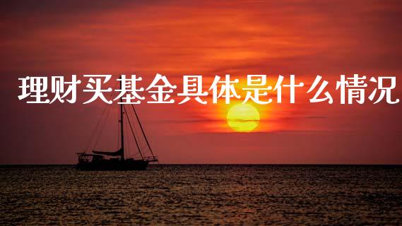 理财买基金具体是什么情况_https://www.apanben.com_国际财经_第1张