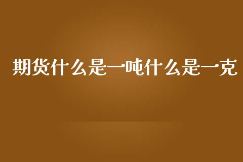 期货什么是一吨什么是一克_https://www.apanben.com_股票怎么玩_第1张