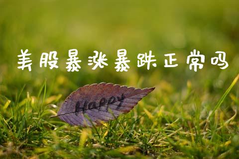 美股暴涨暴跌正常吗_https://www.apanben.com_期货学院_第1张
