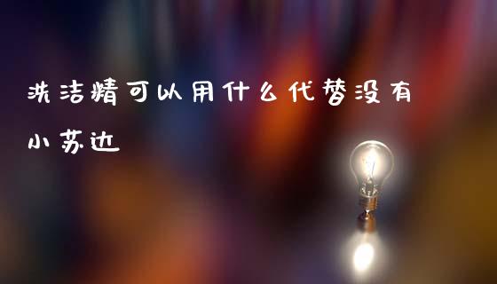 洗洁精可以用什么代替没有小苏达_https://www.apanben.com_期货学院_第1张