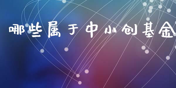 哪些属于中小创基金_https://www.apanben.com_国际期货_第1张