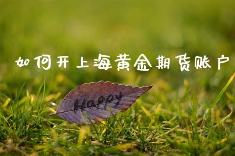 如何开上海黄金期货账户_https://www.apanben.com_期货学院_第1张