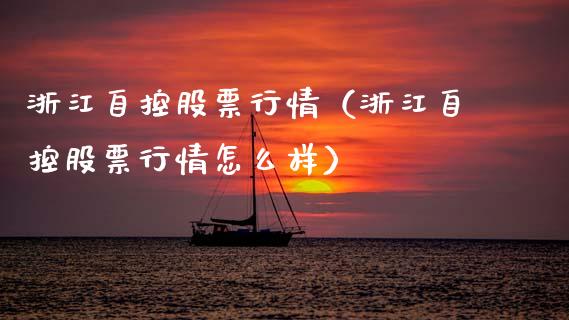 浙江自控股票行情（浙江自控股票行情怎么样）_https://www.apanben.com_股市分析_第1张