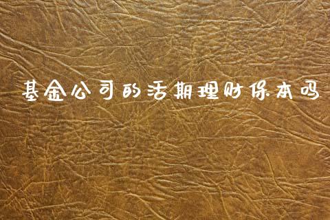 基金公司的活期理财保本吗_https://www.apanben.com_国际财经_第1张