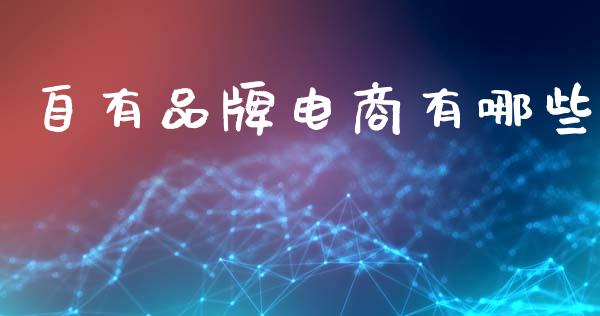 自有品牌电商有哪些_https://www.apanben.com_在线喊单_第1张