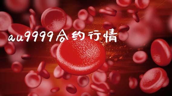 au9999合约行情_https://www.apanben.com_期货学院_第1张