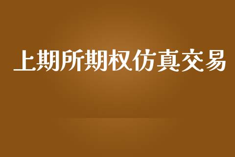 上期所期权仿真交易_https://www.apanben.com_国际财经_第1张