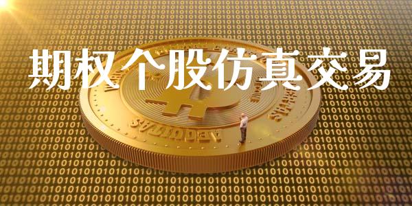 期权个股仿真交易_https://www.apanben.com_国际财经_第1张