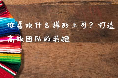 你喜欢什么样的上司？打造高效团队的关键_https://www.apanben.com_股票怎么玩_第1张