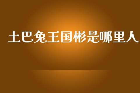 土巴兔王国彬是哪里人_https://www.apanben.com_国际财经_第1张
