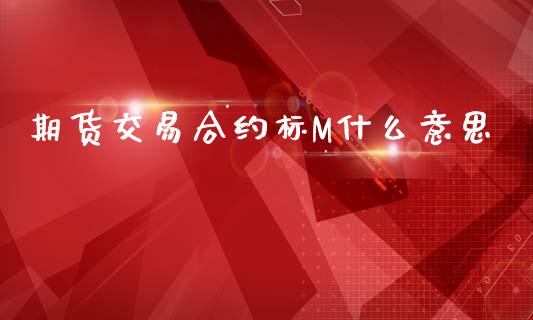 期货交易合约标M什么意思_https://www.apanben.com_股市分析_第1张