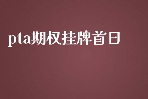 pta期权挂牌首日_https://www.apanben.com_国际财经_第1张