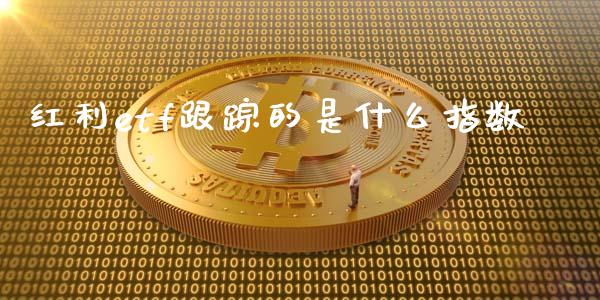 红利etf跟踪的是什么指数_https://www.apanben.com_在线喊单_第1张