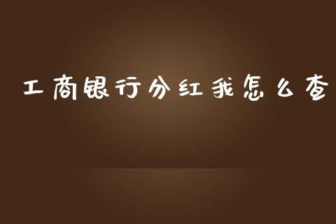 工商银行分红我怎么查_https://www.apanben.com_财经资讯_第1张