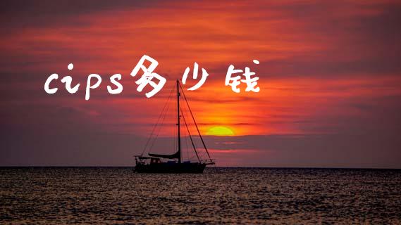 cips多少钱_https://www.apanben.com_国际财经_第1张