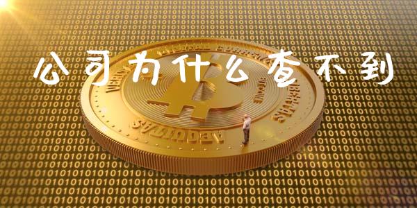 公司为什么查不到_https://www.apanben.com_财经资讯_第1张