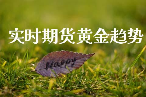 实时期货黄金趋势_https://www.apanben.com_期货学院_第1张