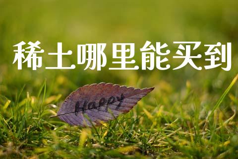稀土哪里能买到_https://www.apanben.com_期货学院_第1张