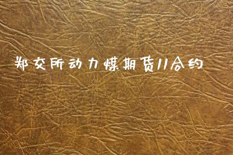 郑交所动力煤期货11合约_https://www.apanben.com_国际财经_第1张