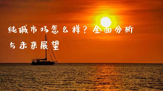 纯碱市场怎么样？全面分析与未来展望_https://www.apanben.com_股票怎么玩_第1张