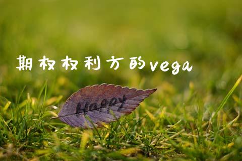 期权权利方的vega_https://www.apanben.com_期货学院_第1张