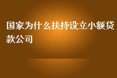 国家为什么扶持设立小额贷款公司_https://www.apanben.com_财经资讯_第1张