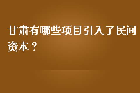 甘肃有哪些项目引入了民间资本？_https://www.apanben.com_股票怎么玩_第1张