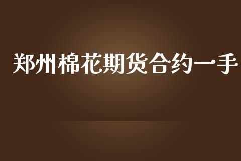 郑州棉花期货合约一手_https://www.apanben.com_国际财经_第1张