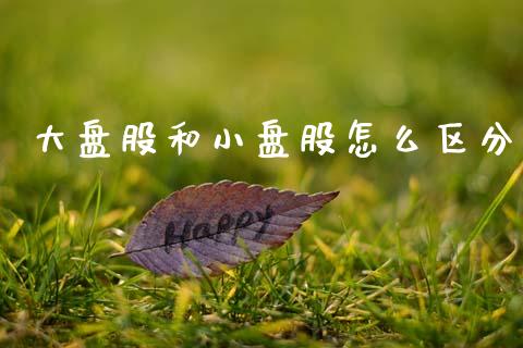 大盘股和小盘股怎么区分_https://www.apanben.com_国际财经_第1张