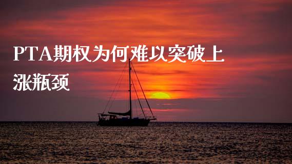 PTA期权为何难以突破上涨瓶颈_https://www.apanben.com_股市指导_第1张