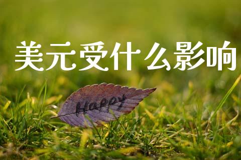 美元受什么影响_https://www.apanben.com_国际财经_第1张