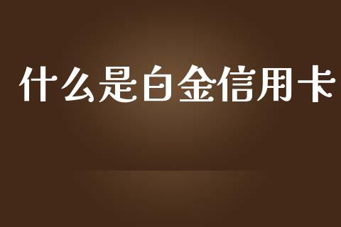 什么是白金信用卡_https://www.apanben.com_财经资讯_第1张