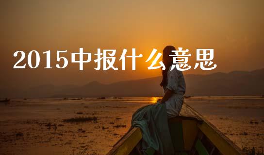 2015中报什么意思_https://www.apanben.com_在线喊单_第1张