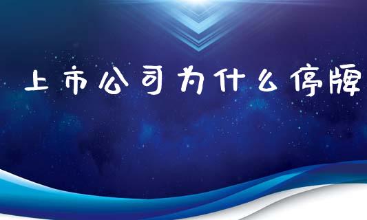 上市公司为什么停牌_https://www.apanben.com_财经资讯_第1张