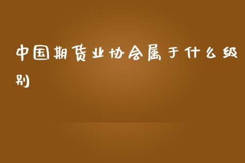 中国期货业协会属于什么级别_https://www.apanben.com_期货学院_第1张