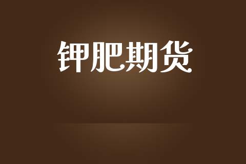 钾肥期货_https://www.apanben.com_股票怎么玩_第1张