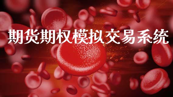 期货期权模拟交易系统_https://www.apanben.com_国际财经_第1张