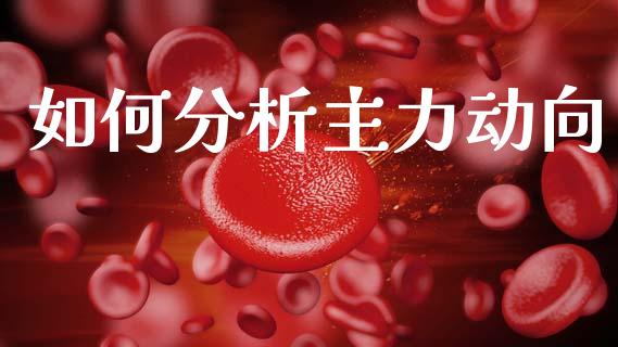 如何分析主力动向_https://www.apanben.com_在线喊单_第1张
